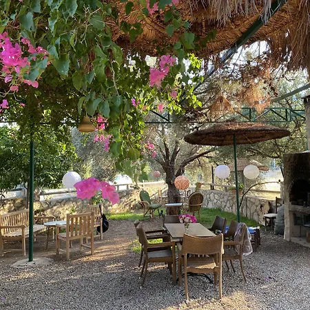 Belfin Pansiyon Ovabuekue *