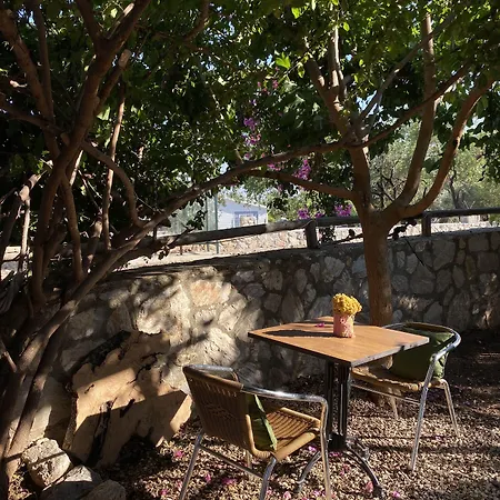 Belfin Pansiyon Ovabuekue 公寓式酒店 Döşeme