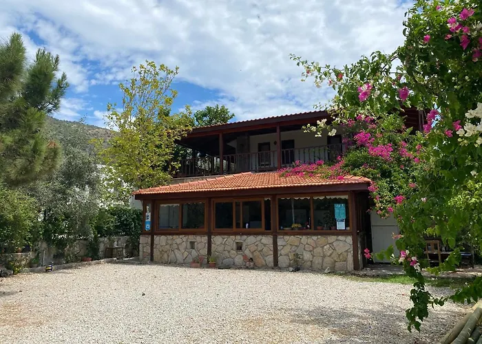 Belfin Pansiyon Ovabuekue Aparthotel