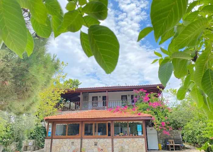 Aparthotel Belfin Pansiyon Ovabuekue Döşeme