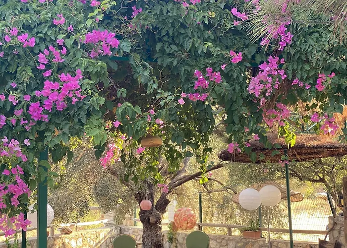 Aparthotel Belfin Pansiyon Ovabuekue