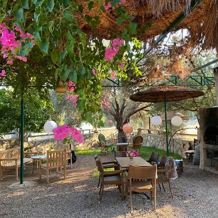 Aparthotel Belfin Pansiyon Ovabuekue