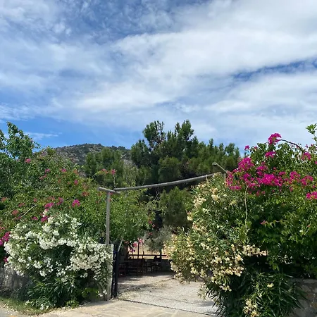 Belfin Pansiyon Ovabuekue *