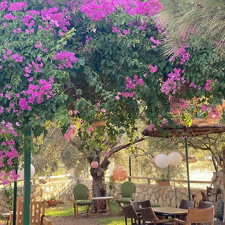 Aparthotel Belfin Pansiyon Ovabuekue