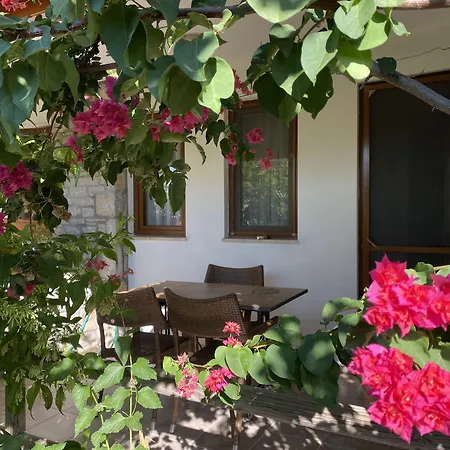 Aparthotel Belfin Pansiyon Ovabuekue *