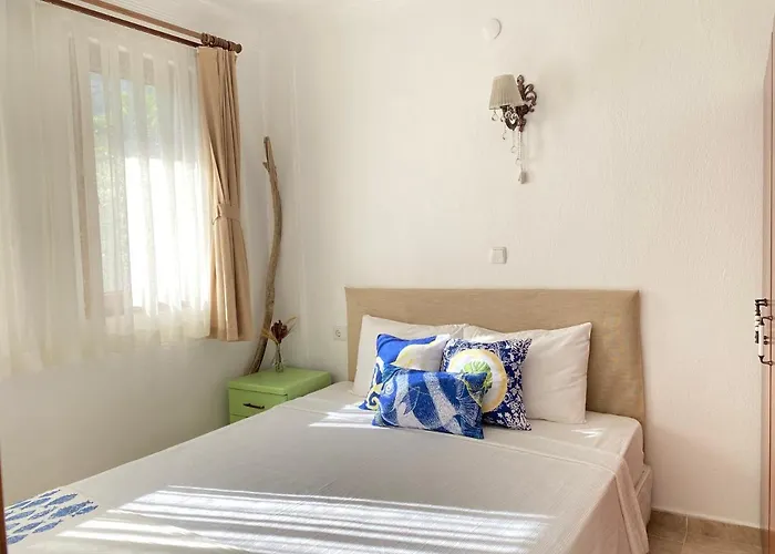 Belfin Pansiyon Ovabuekue *