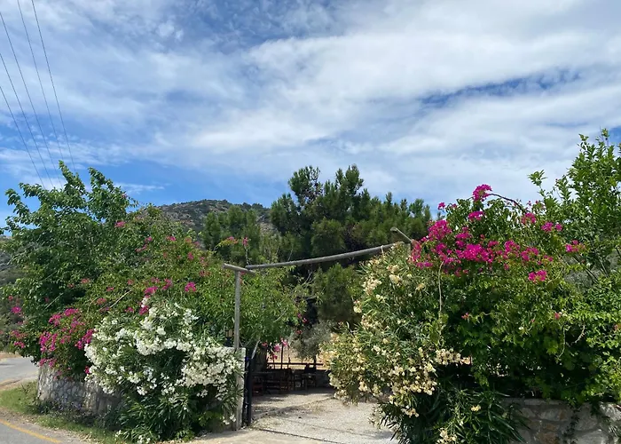 Belfin Pansiyon Ovabuekue *